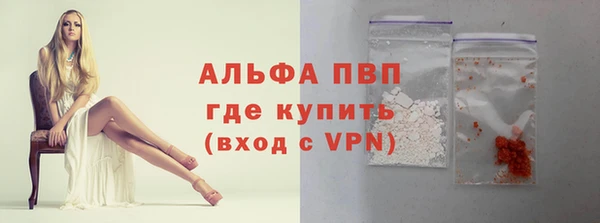 гашик Михайловск