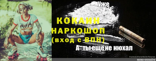 дурь Алексеевка