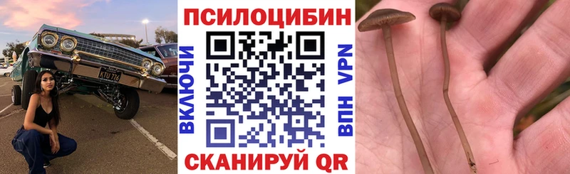 даркнет телеграм  Алейск  Галлюциногенные грибы прущие грибы 
